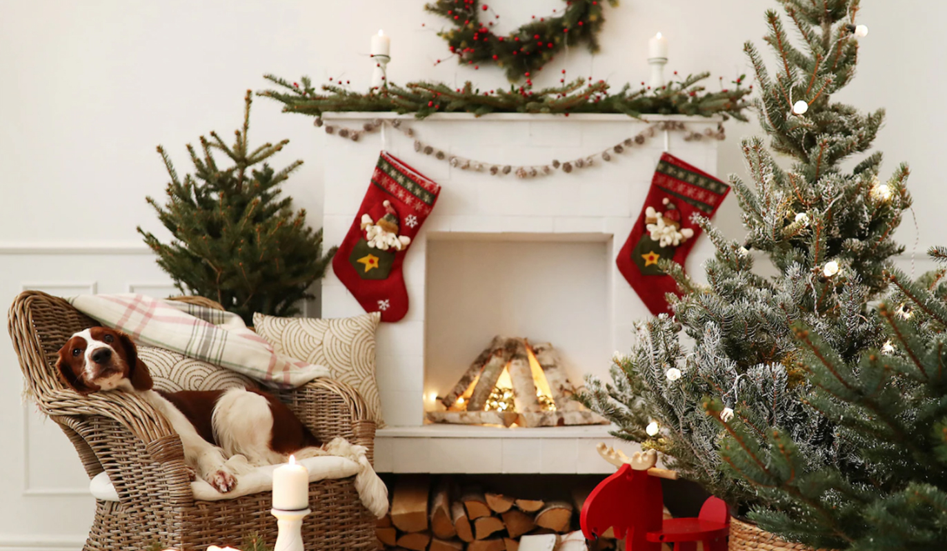 Read more about the article Christmas decorations