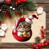 Christmas Ball Cat Ornament,Cute Cat Christmas,2D Hanging Ornaments,Xmas Ornamenjavascript:ts,